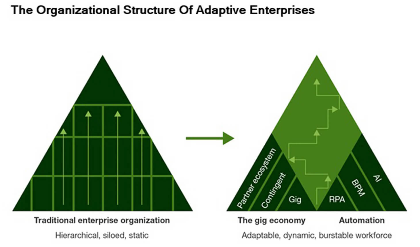 blog-body-the-organizational-structure-of-adaptive-enterprises